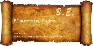 Blaustein Endre névjegykártya